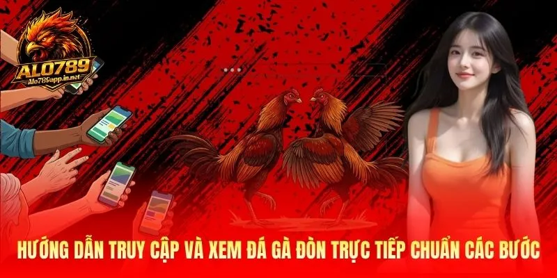 Hướng dẫn truy cập và xem đá gà đòn trực tiếp chuẩn các bước