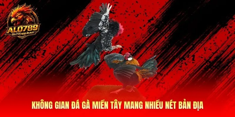 Không gian đá gà miền tây mang nhiều nét bản địa