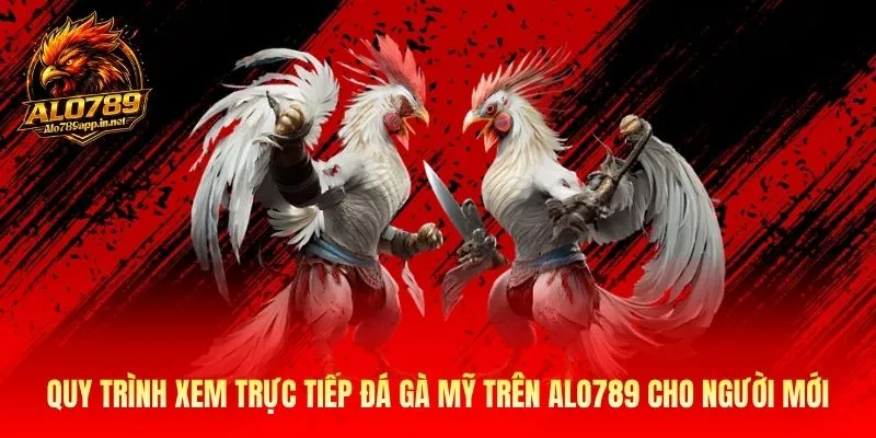 Quy trình xem trực tiếp đá gà Mỹ trên Alo789 cho người mới
